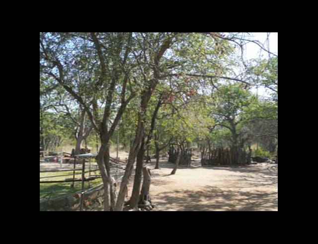 FARM FOR SALE IN MOPANE